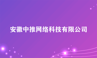 安徽中推網(wǎng)絡(luò)科技